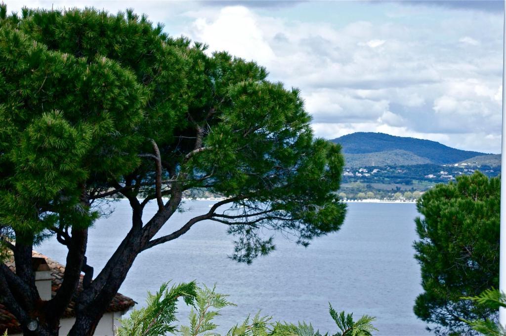 Hotel Villa Maya Gassin Δωμάτιο φωτογραφία